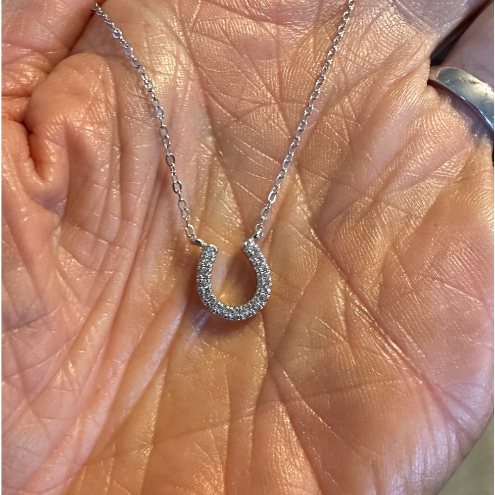 New Sterling Silver CZ Horseshoe Necklace 🪺 18” Chain